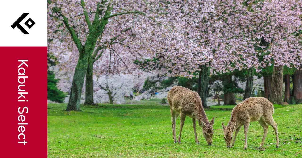 Your Ultimate Guide to Exploring Nara: A Historical Gem in Japan cover image